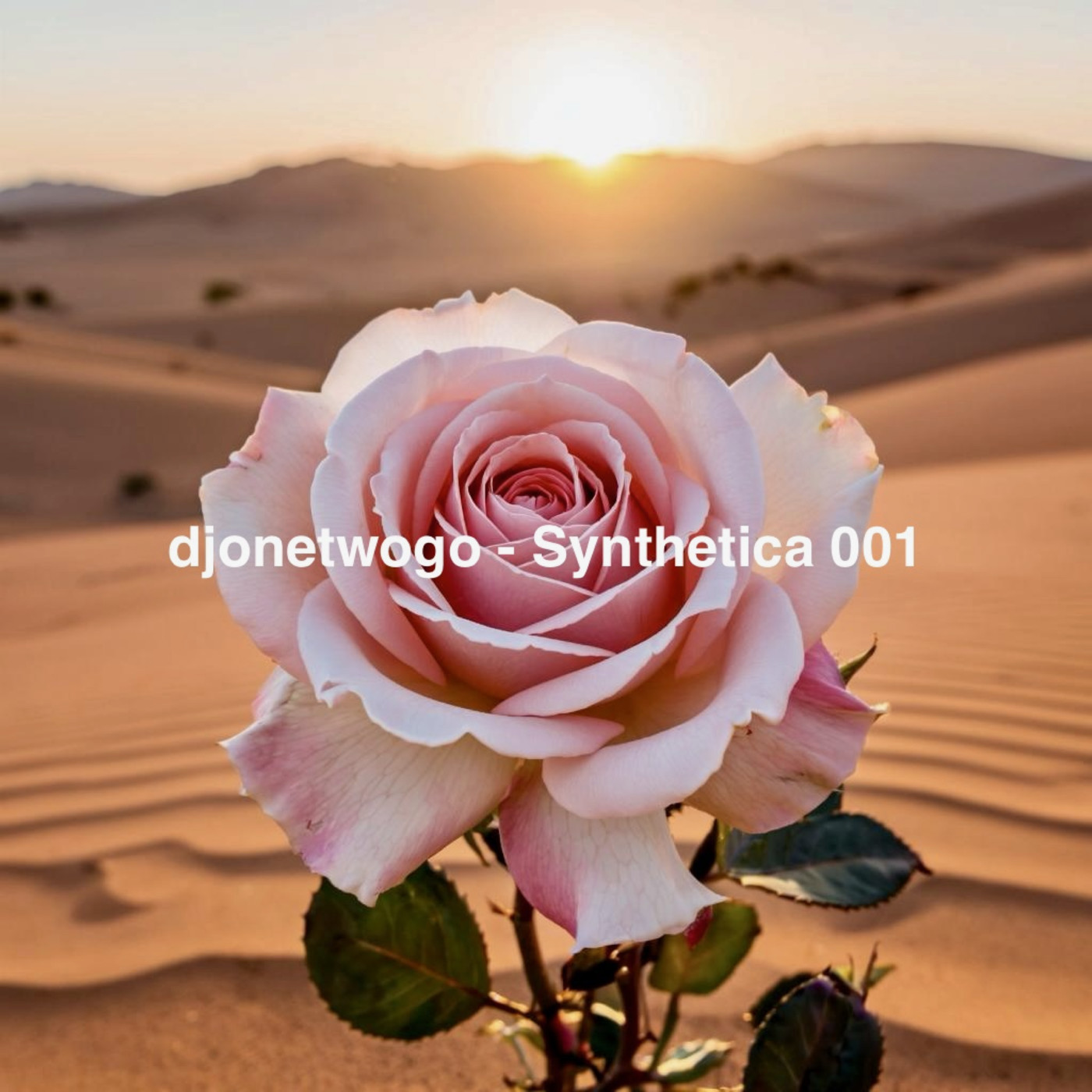 djonetwogo - Synthetica 001