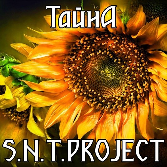 S.N.T.Project - Тайна episode artwork