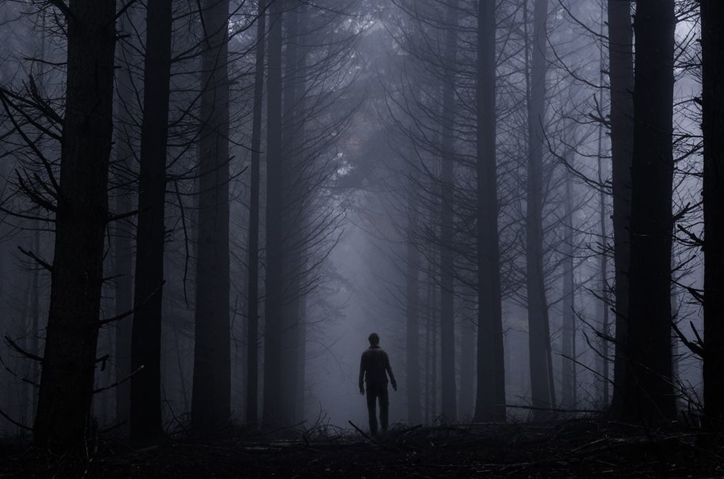 Up neX - Alone in the forest