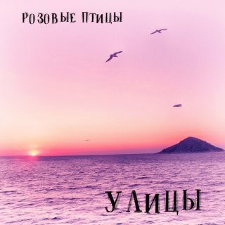 Улицы - Розовые Птицы episode artwork