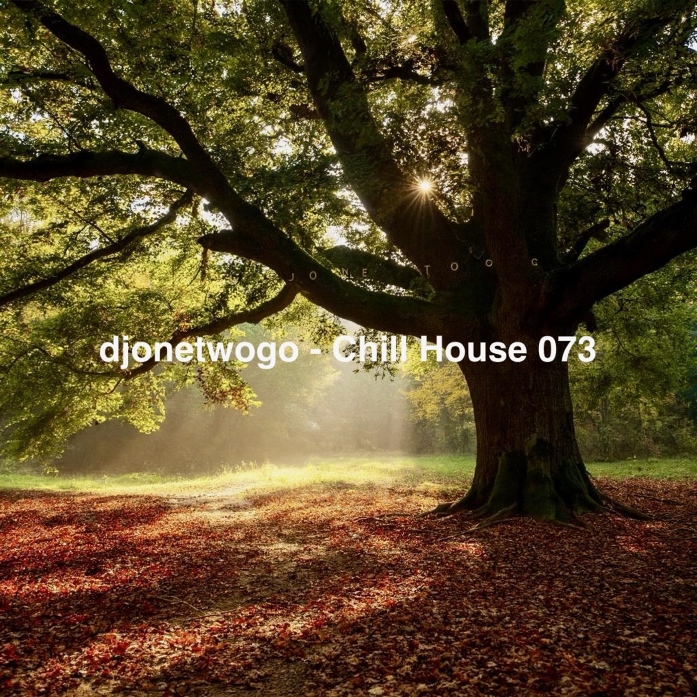 djonetwogo - Chill House 073 episode artwork