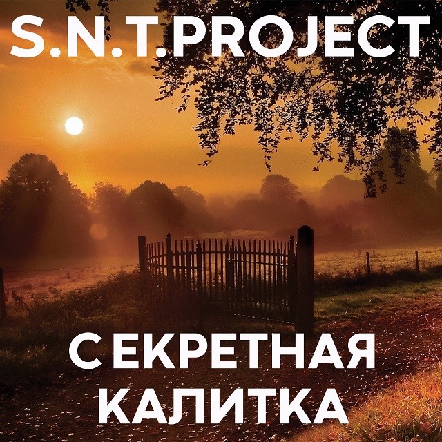 S.N.T.Project - Секретная Калитка episode artwork