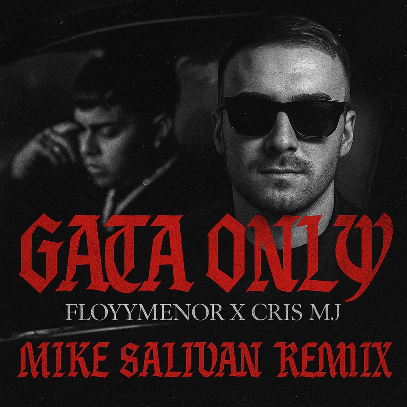 FloyyMenor - Gata Only ft. Cris MJ (Mike Salivan Remix) episode artwork