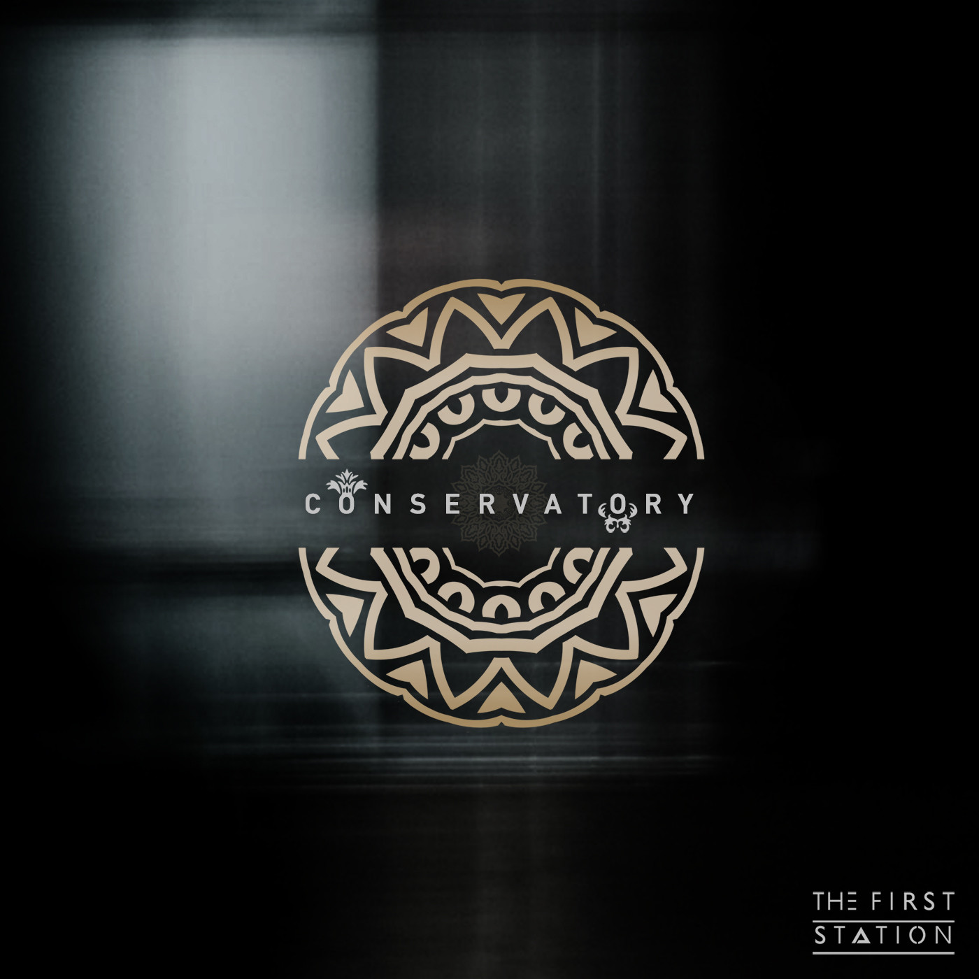 The First Station-Tribal night