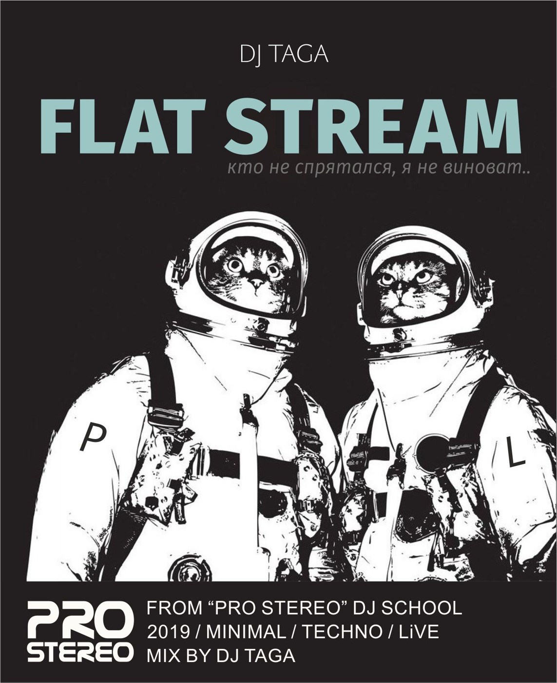 FLAT STREAM - REC PRO STEREO #5 (Minimal) episode artwork
