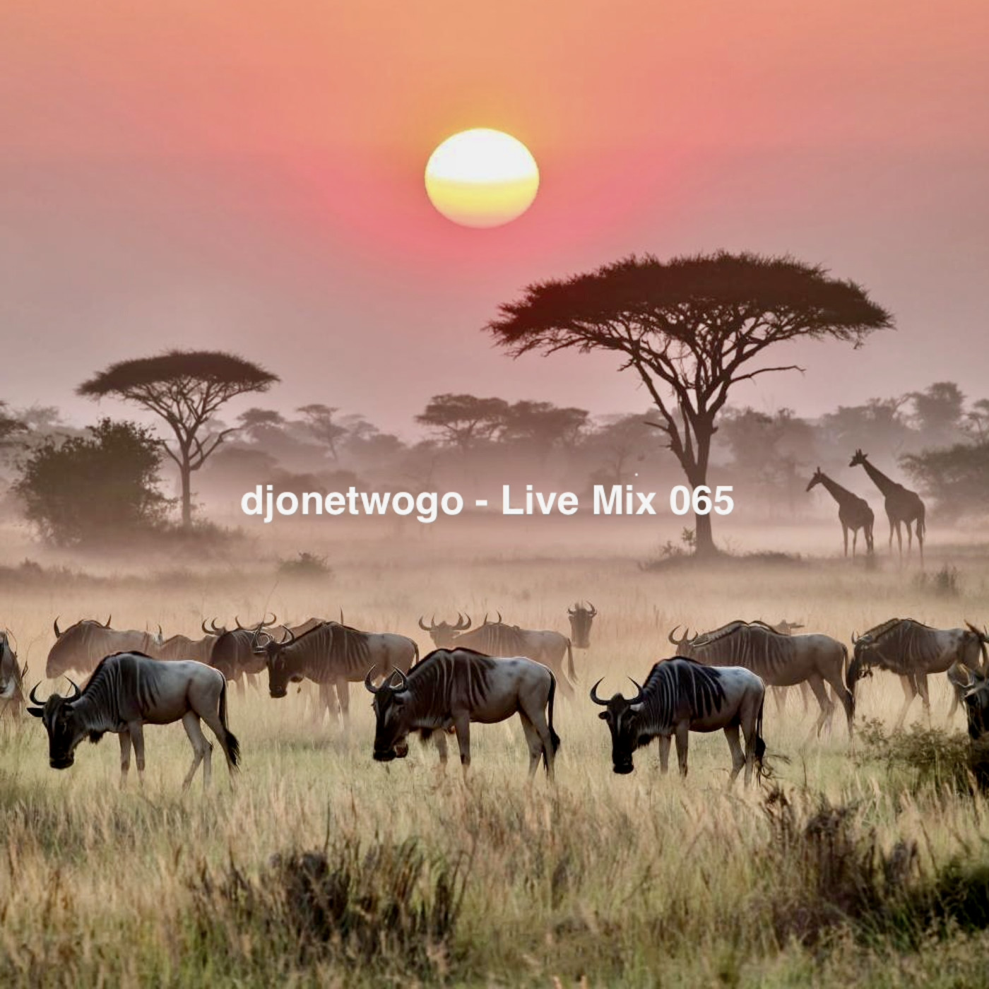 djonetwogo - Live Mix 065