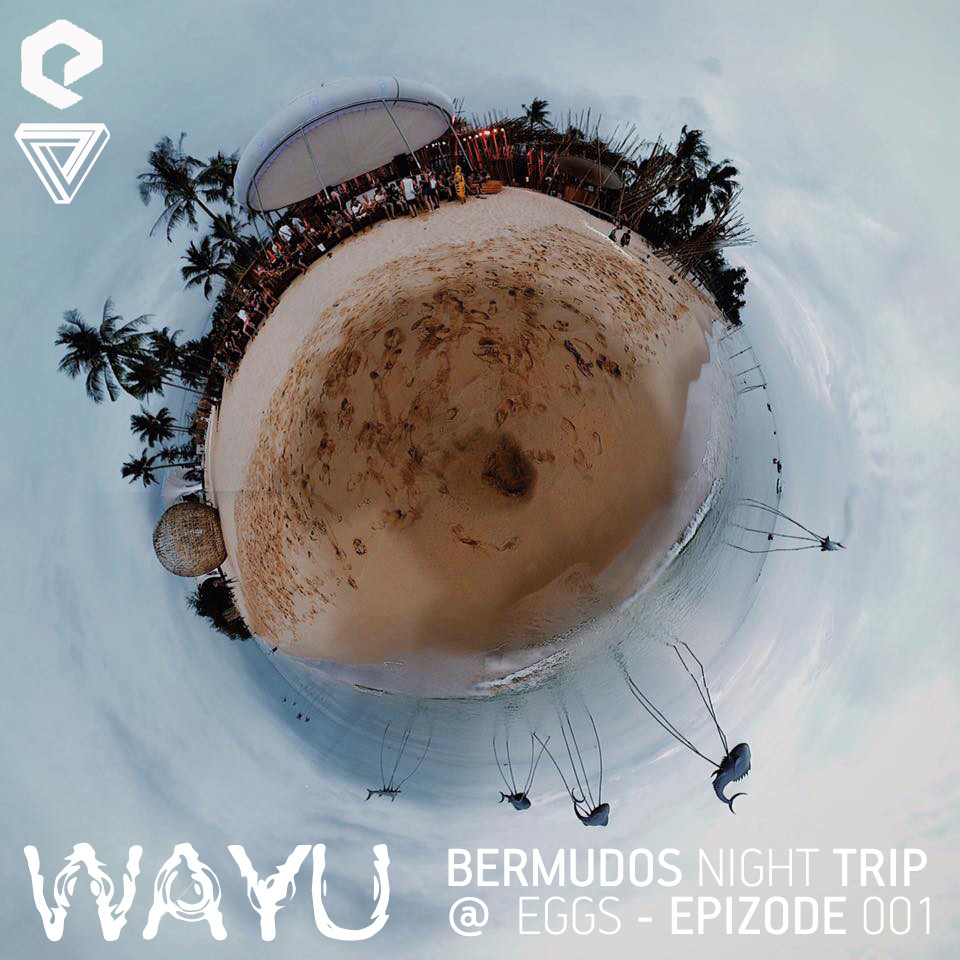 Wayu - Bermudos night trip @ Eggs - Epizode 001