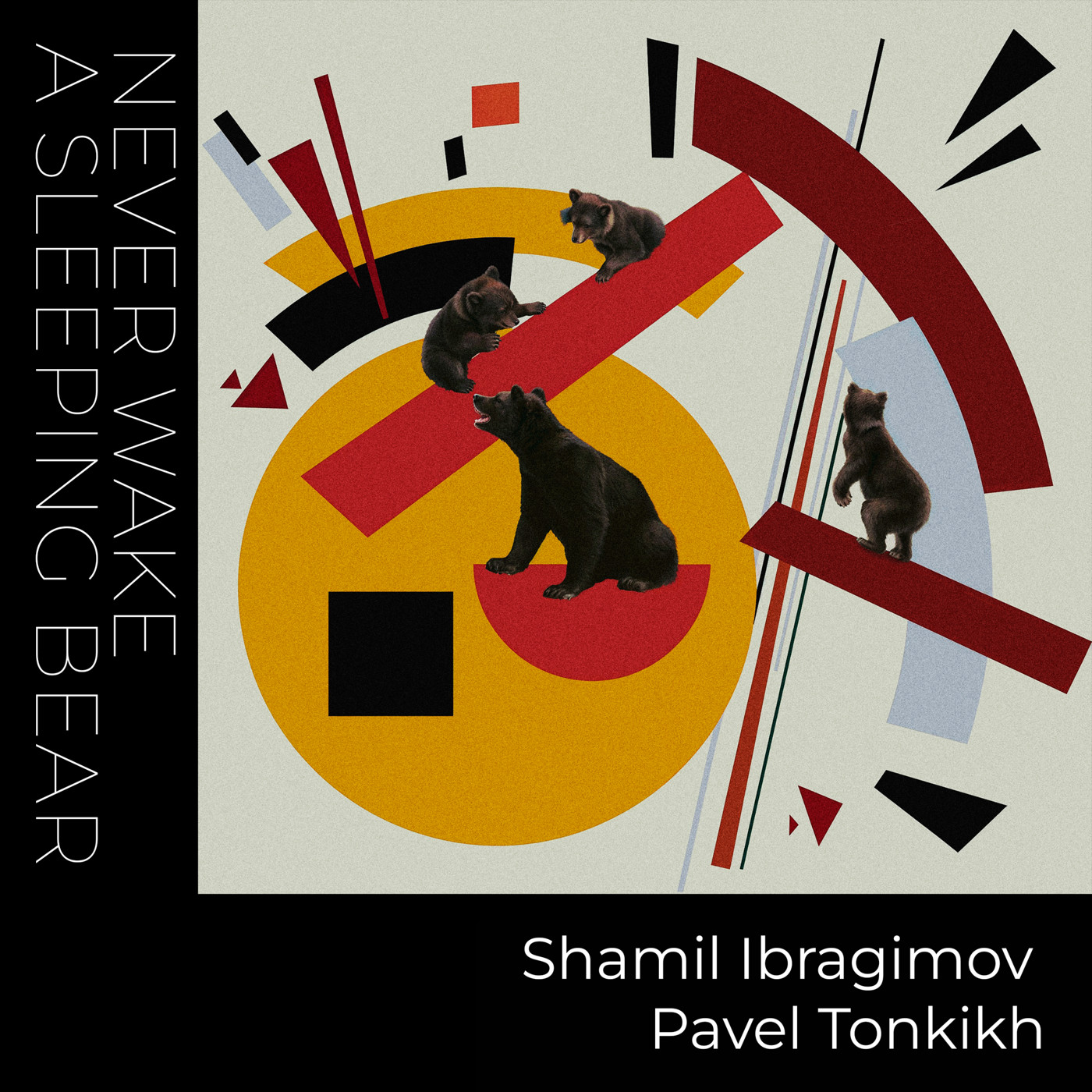 Shamil Ibragimov feat.Pavel Tonkikh - Never wake a sleeping bear (promo)