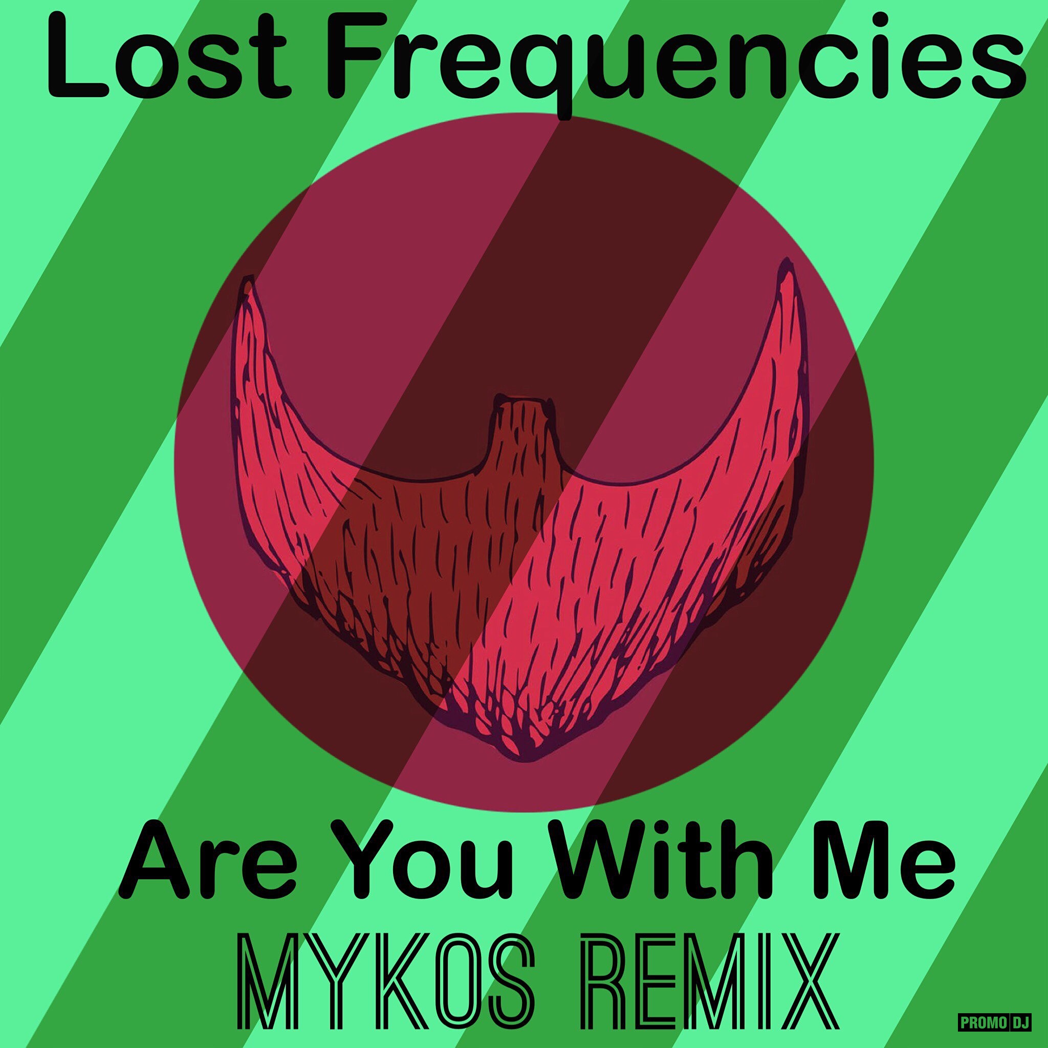 Lost Frequencies. Lost Frequencies - are you. Lost Frequencies - are you with me (Radio Edit). Lost Frequencies are you with me обложка.