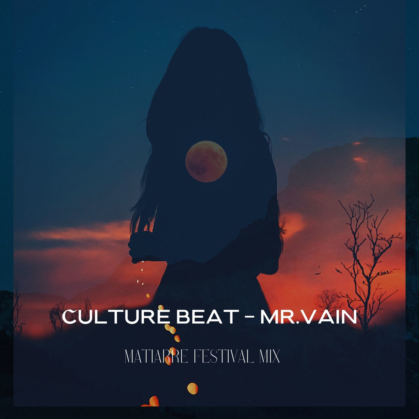 dedikation Meget Match Culture Beat - Mr. Vain (Matiarre Festival Mix) – Michael Miklovtsik