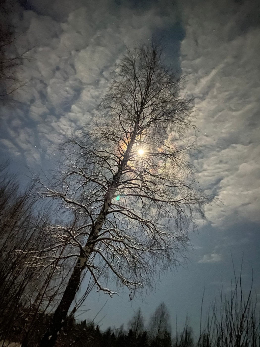 RUSPA-Справедливости нет?(66.666)