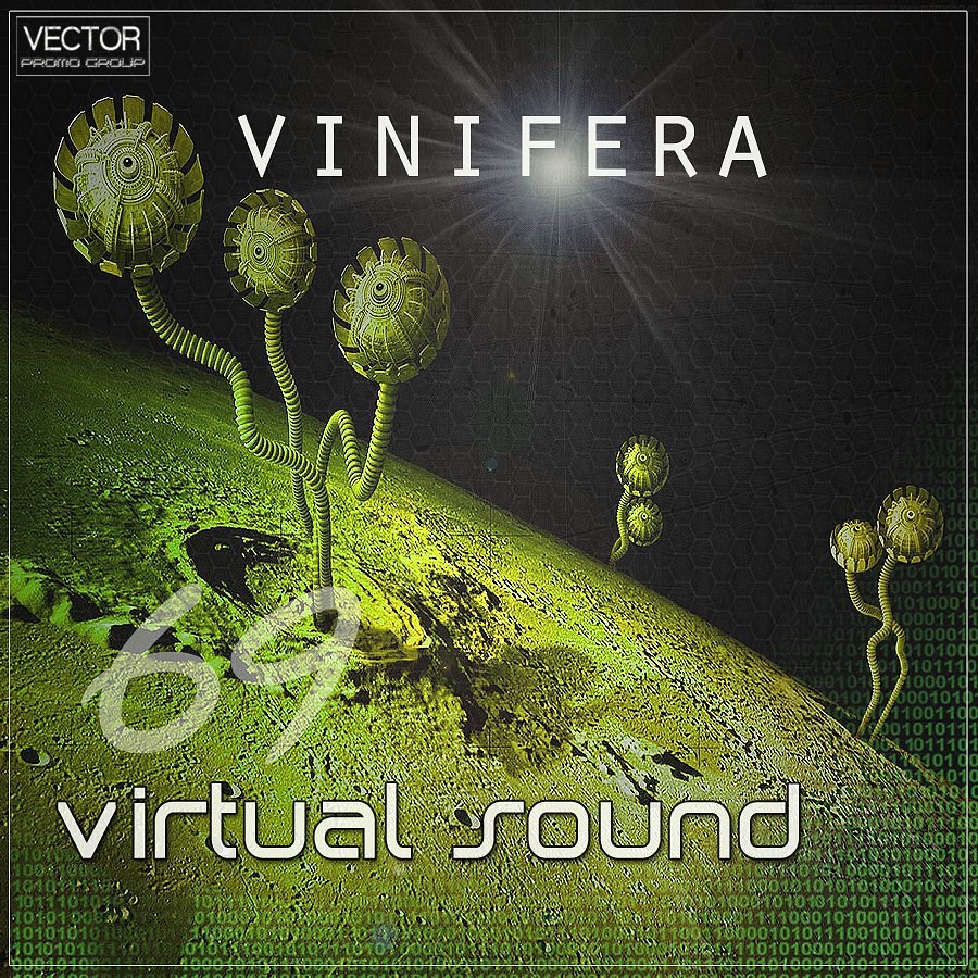 Vinifera – Virtual Sound #069 - podcast episode cover