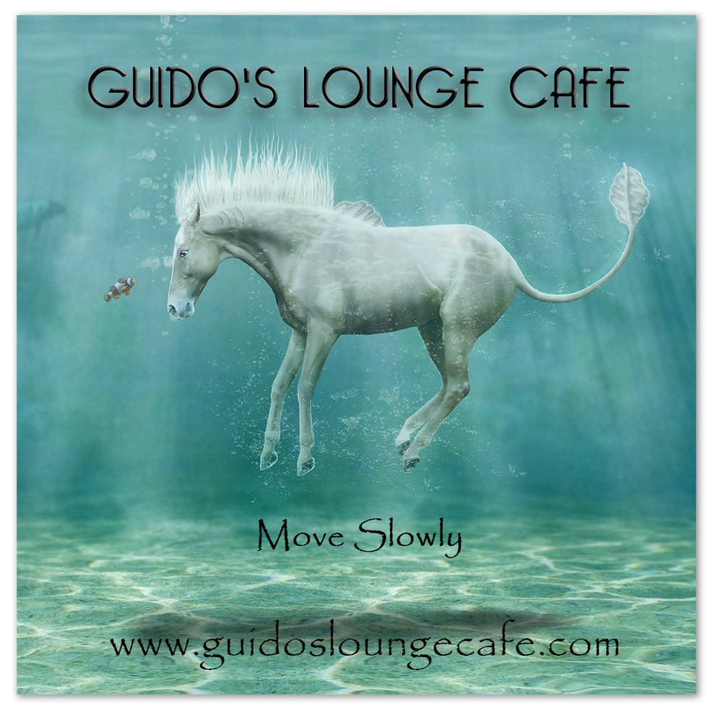 Guido's Lounge Cafe Broadcast 0242 Move Slowly (20161021) #242 episode artwork