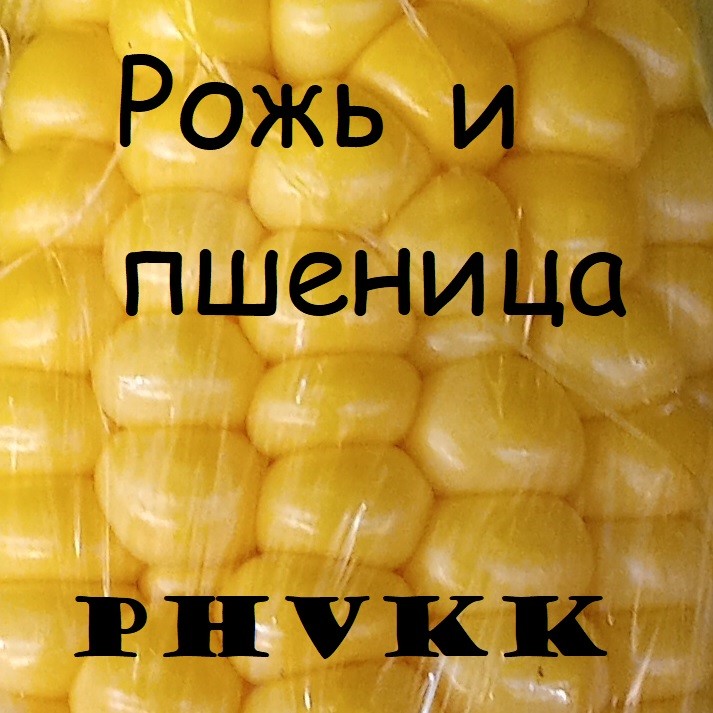 Рожь и пшеница