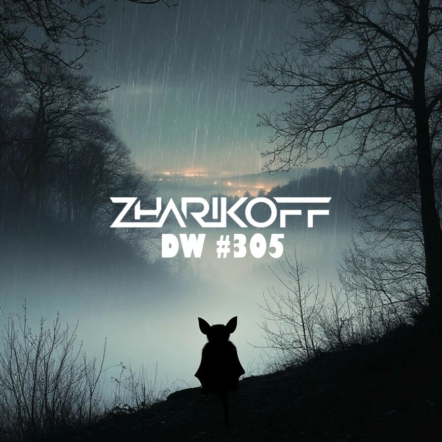 DJ Zharikoff - Deep Weekend #305 #305 episode artwork