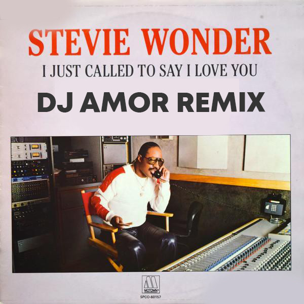 Stevie Wonder - I Just Called To Say I Love You (Dj Amor Remix)