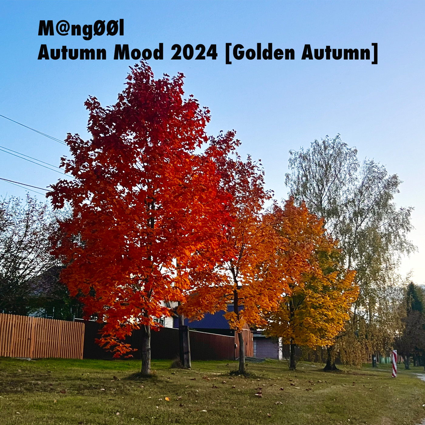 cover of episode M@ngØØl - Autumn Mood 2024 [Golden Autumn]