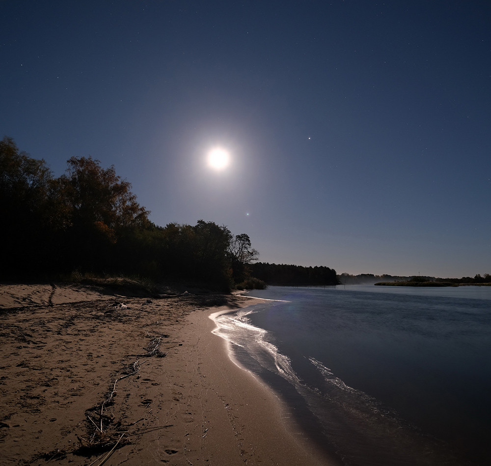 Moonlit Whispers