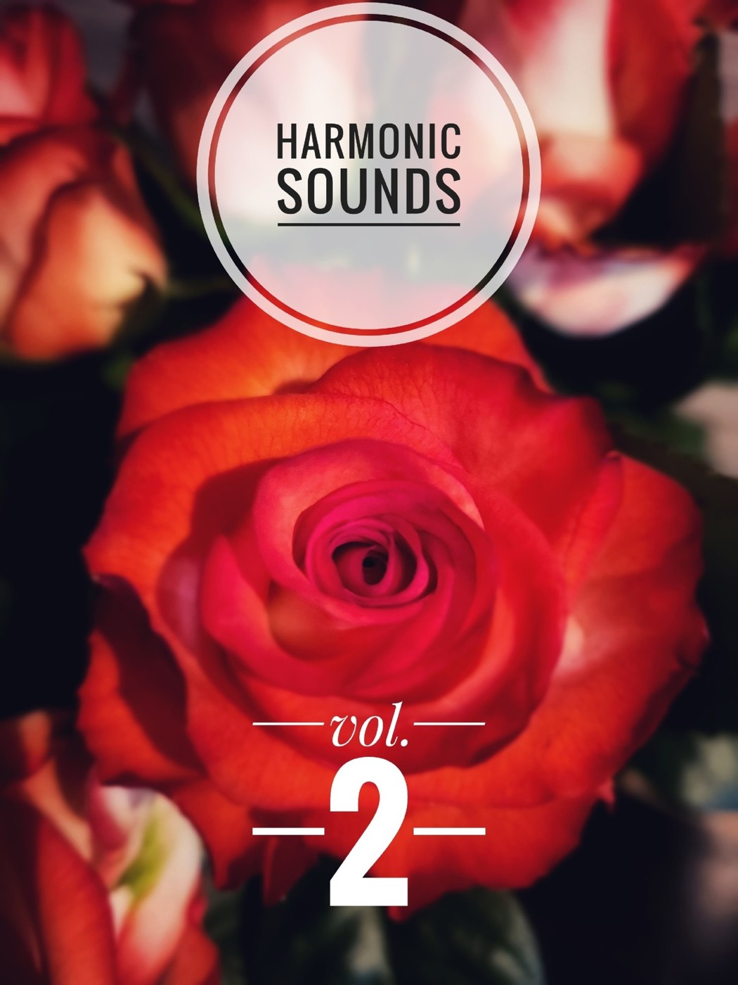 Shankel - Harmonic Sounds 2 #2 episode artwork