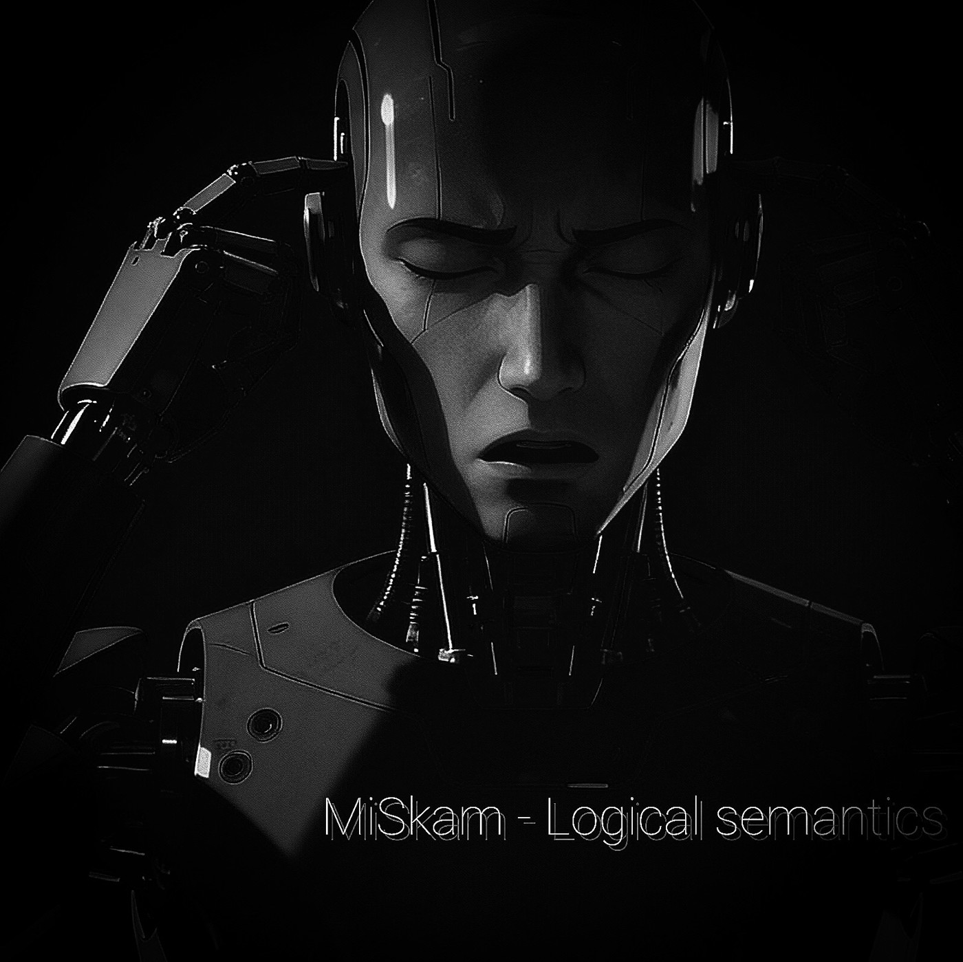 MiSkam - Logical semantics