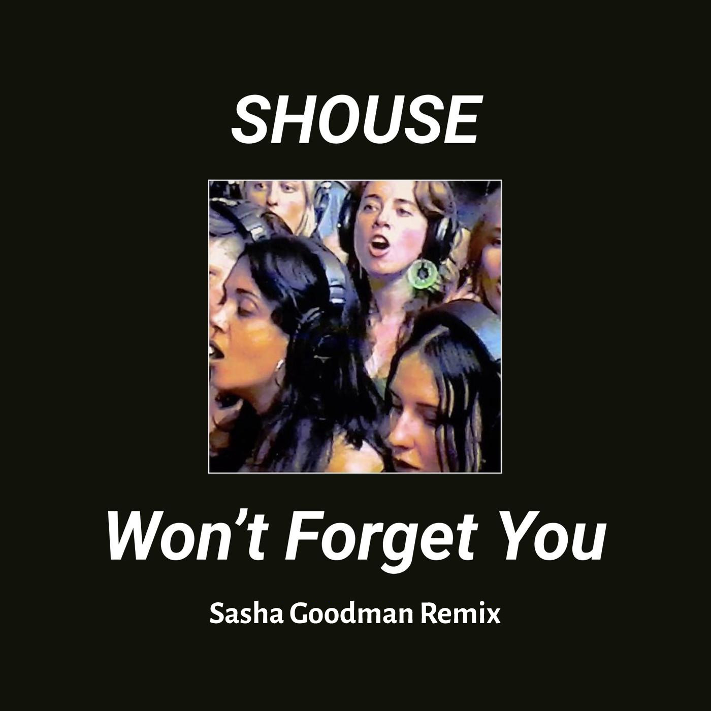 Shouse - Won't Forget You (Sasha Goodman Remix) Radio Edit