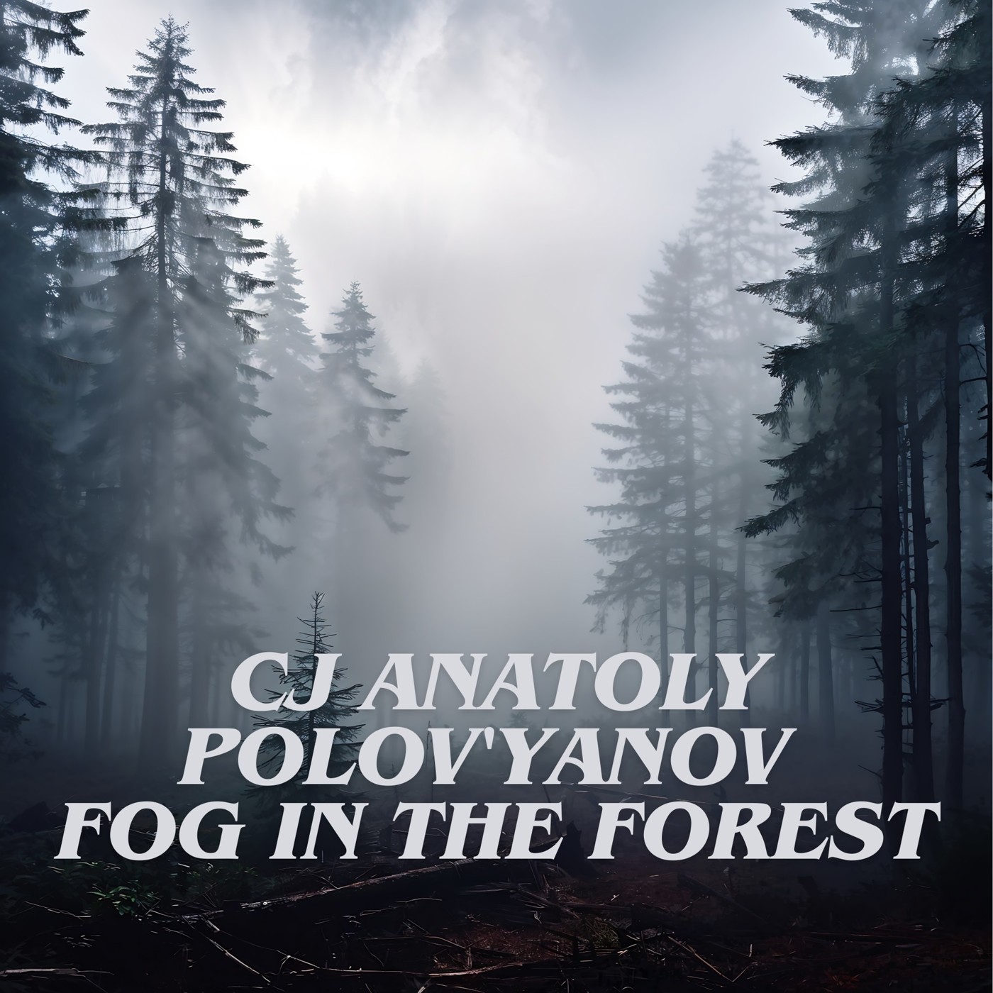 CJ Anatoly Polov'yanov - Fog In The Forest (Version 2)