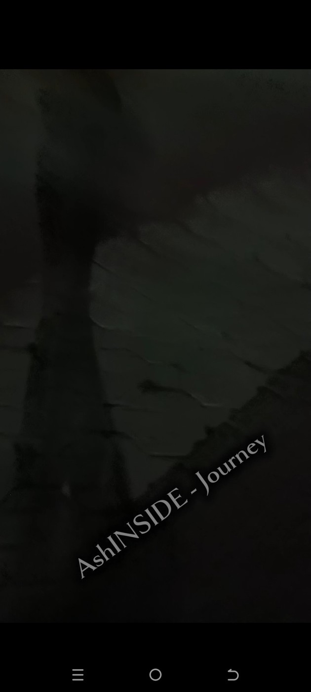 AshINSIDE - Journey