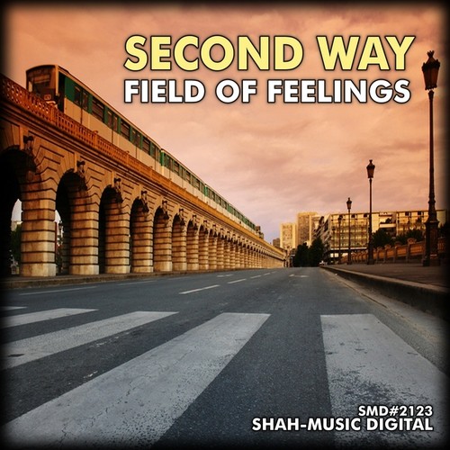 Second Way - Field Of Feelings (Ex-Driver remix cut) [Shah Music] episode artwork