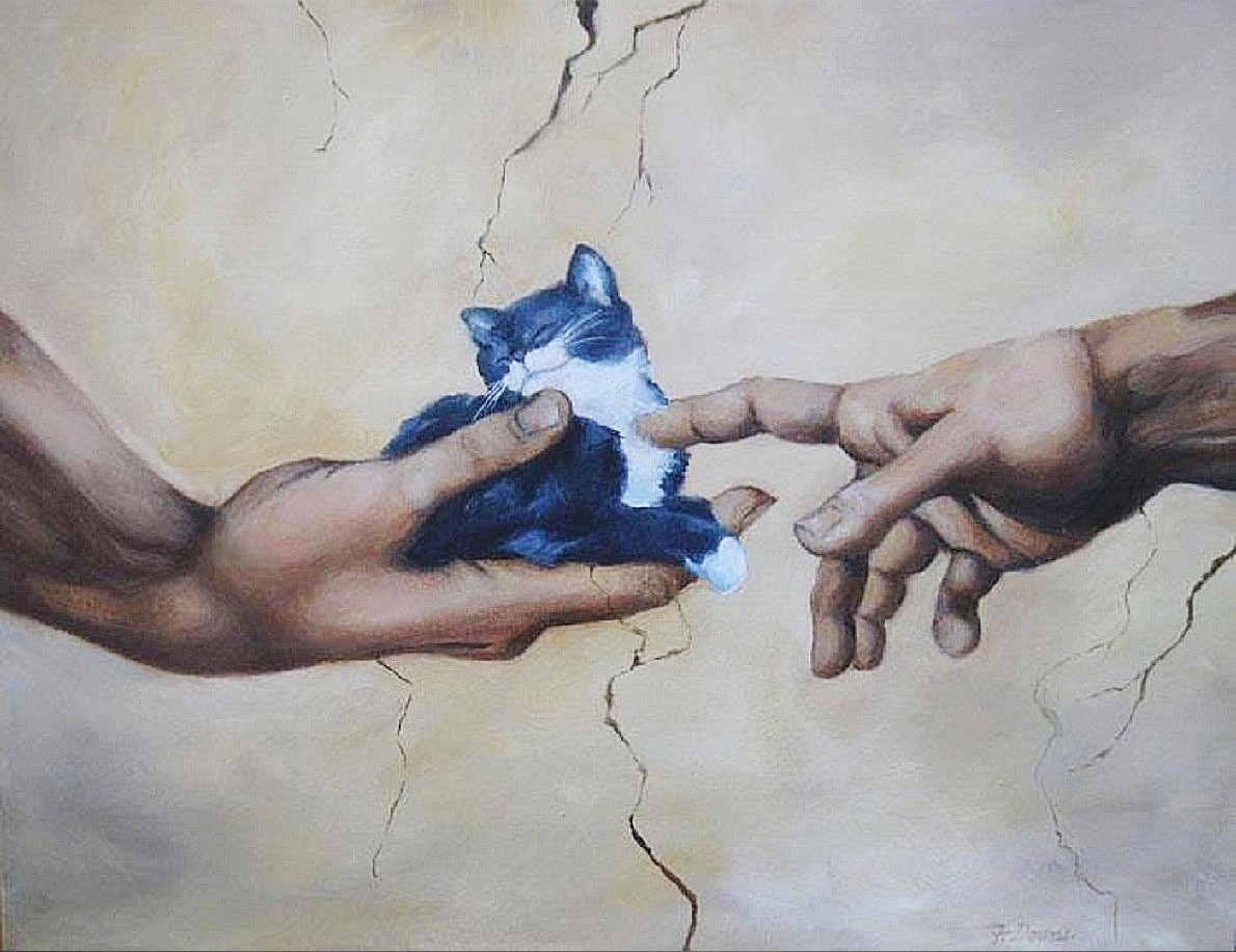 Как называется соприкосновение. Микеланджело Сотворение Адама. Микеланджело Сотворение Адама с котом. Руки живопись. Картина руки тянутся.