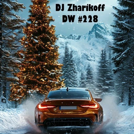 DJ Zharikoff - Deep Weekend #228 #228