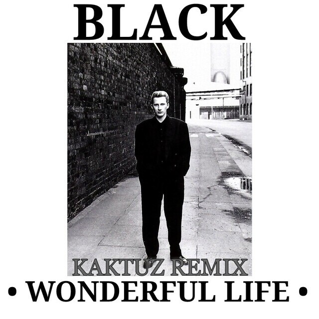 Black - Wonderful Life (KaktuZ RemiX) – KaktuZ RemiX
