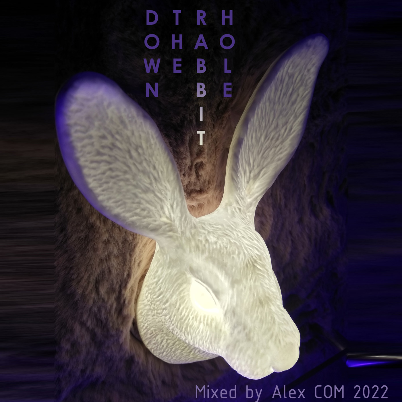 Down The Rabbit Hole Mix episode artwork