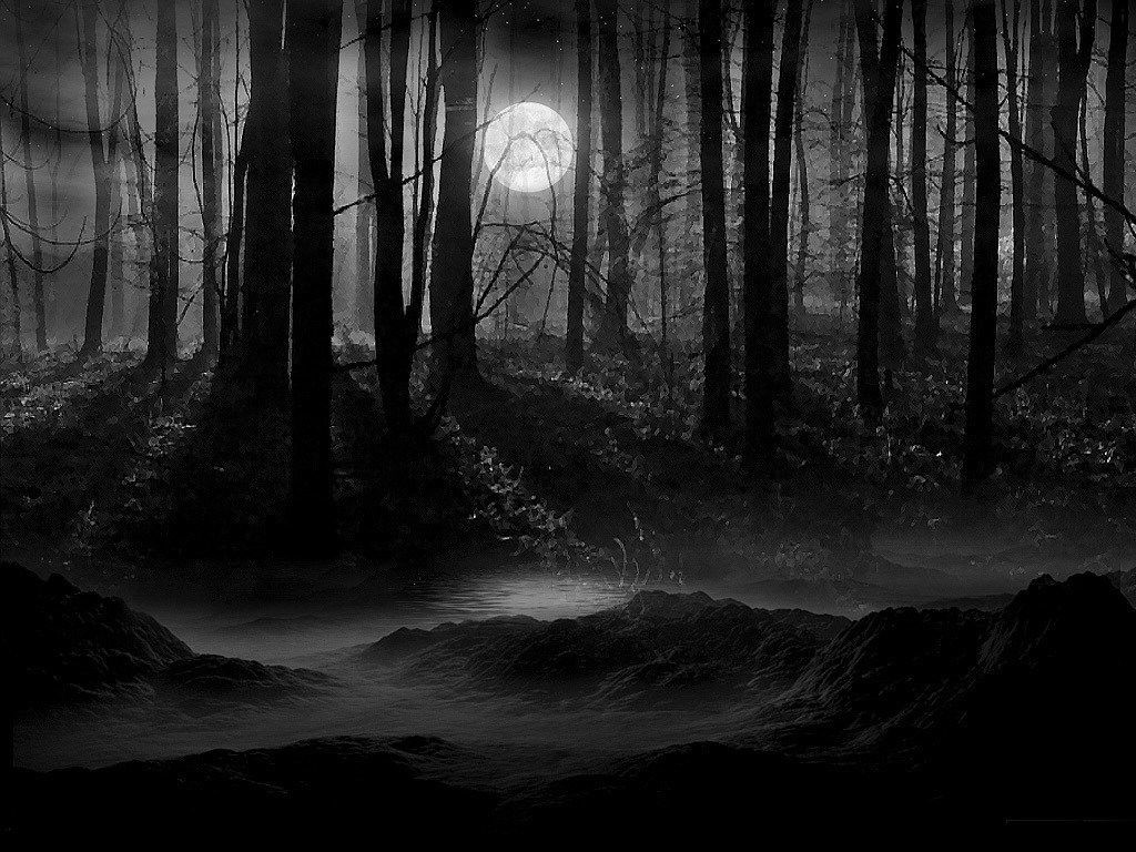 Dark Forest (mix)