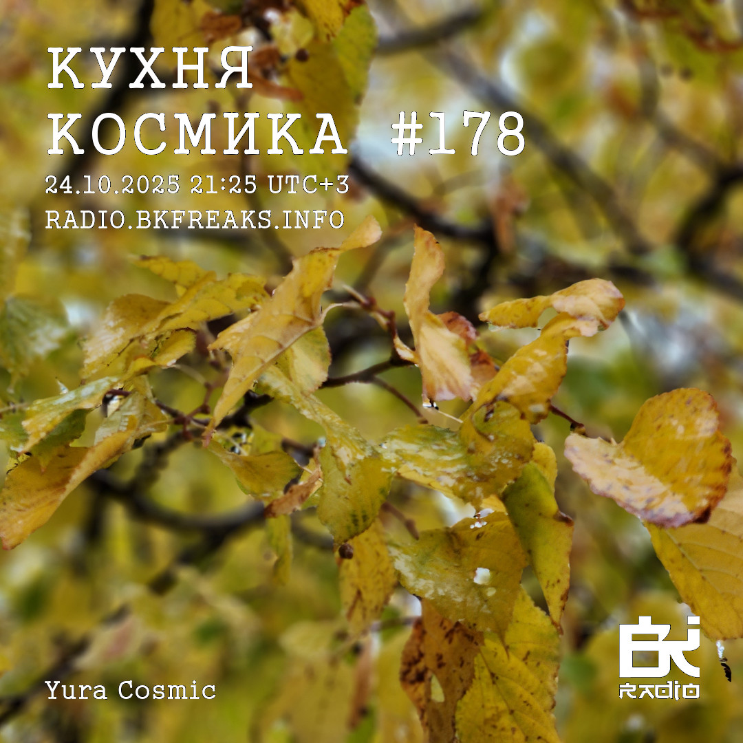 Dj Cosmic - Kukhnya Kosmika 178 mix 24.10.2025
