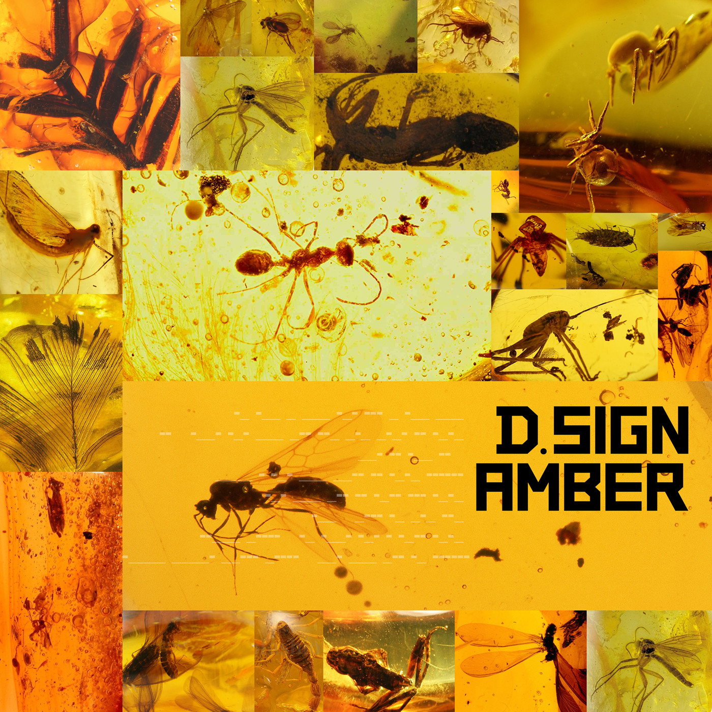 D.SIGN - Amber episode artwork