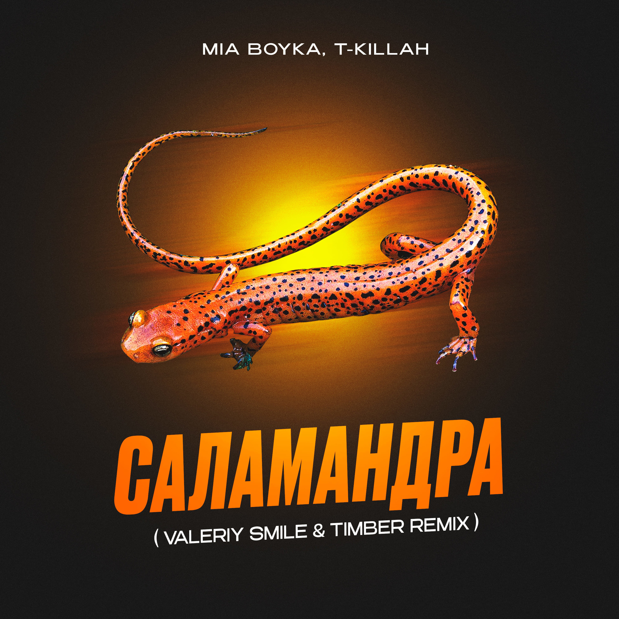 Саламандра текст песни. Mia Boyka, t-Killah - саламандра. Mia Boyka саламандра. Mia Boyka & t-Killah — саламандра (Silver Ace & Onix Radio Edit).