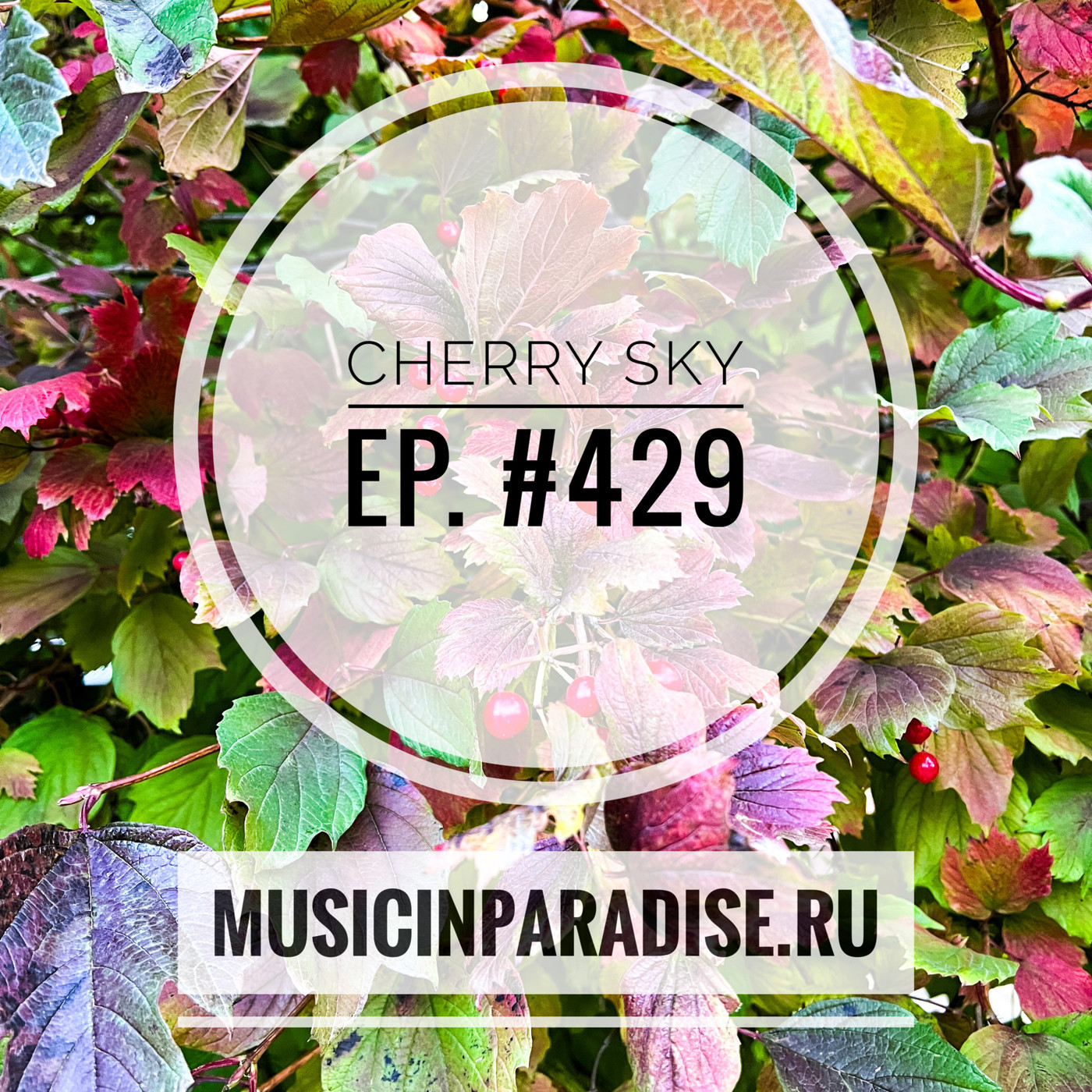 Vlad Cherry - Cherry Sky #429