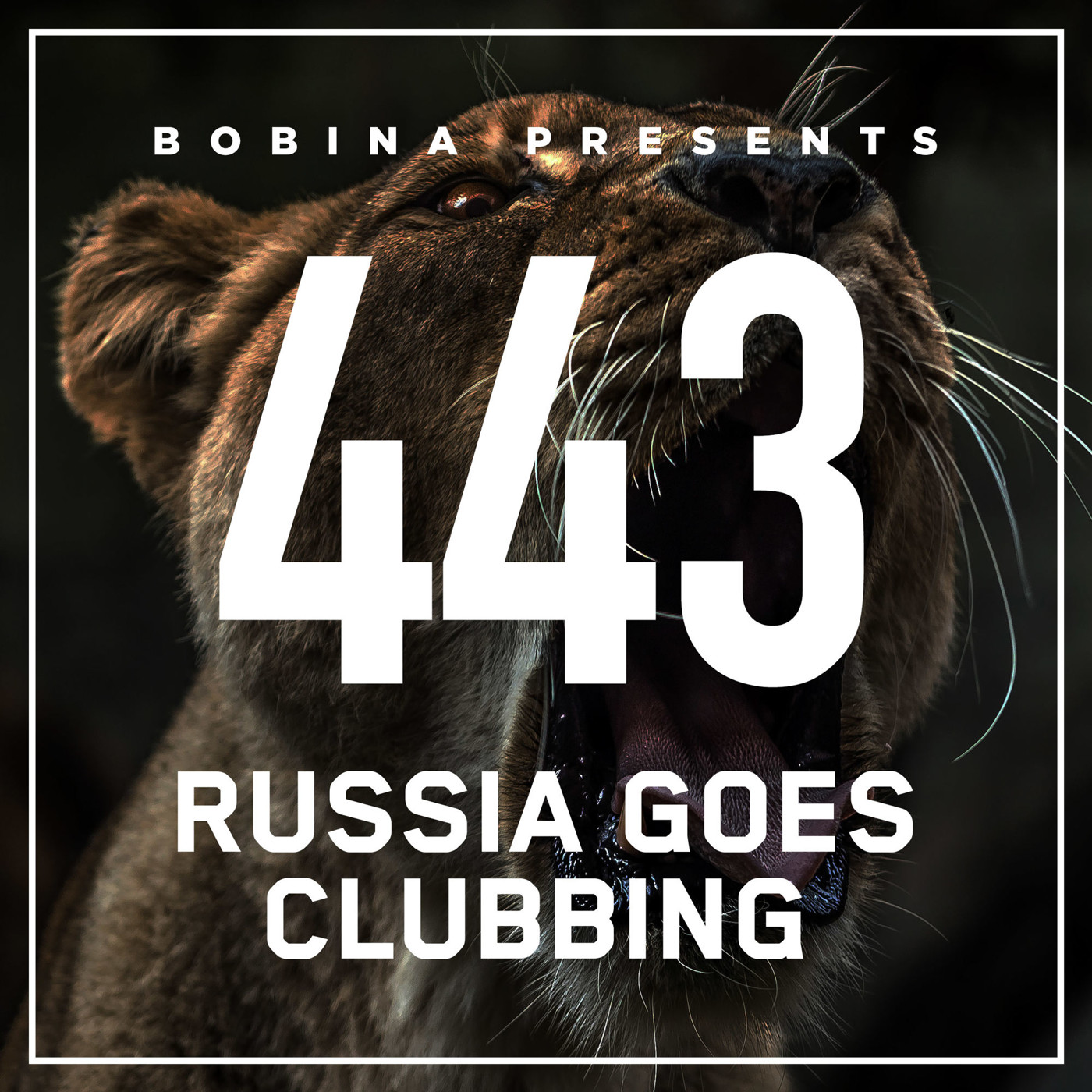 Bobina – Nr. 443 Russia Goes Clubbing (Eng)
