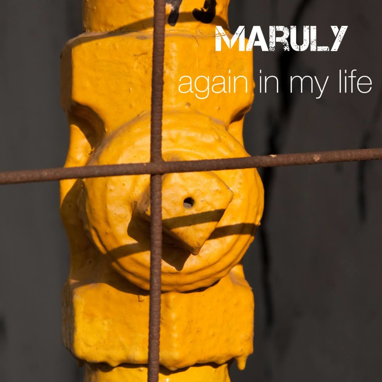 Maruly - Again In My Life