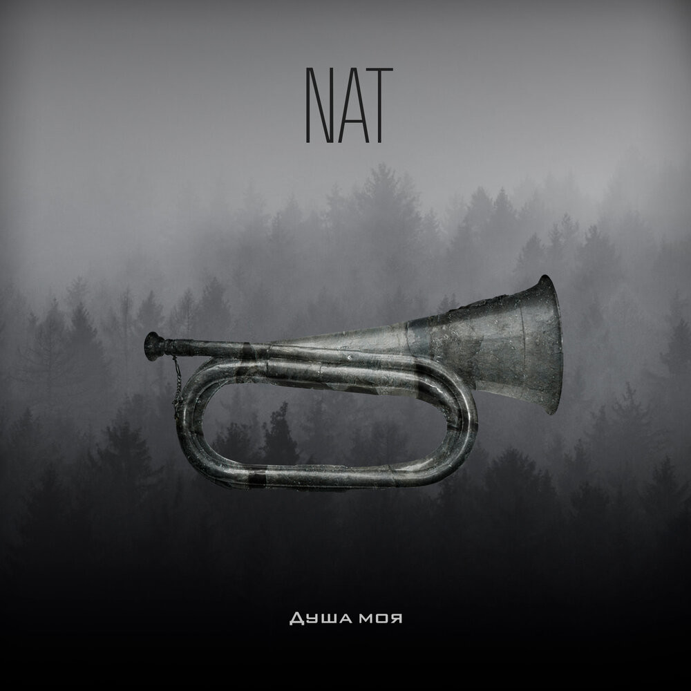 NAT - Душа Моя (Vostokov remix) episode artwork