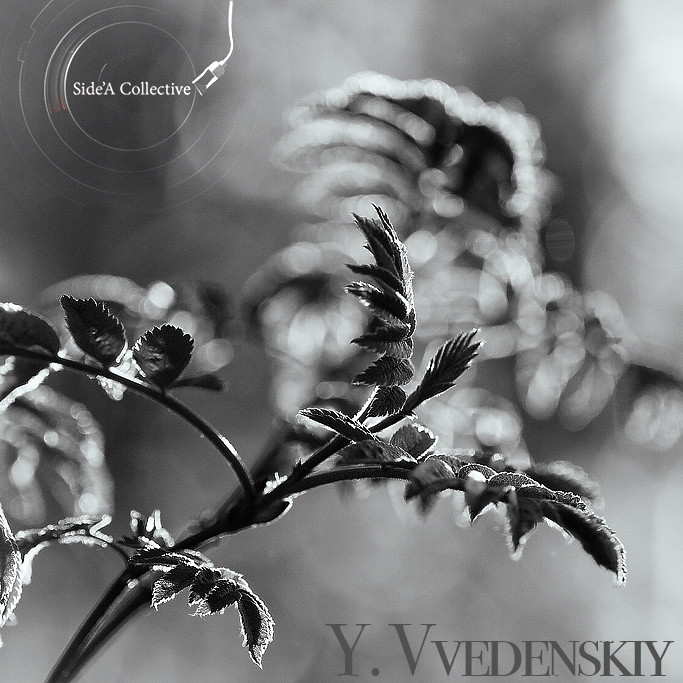 Рябиновые вечера #10