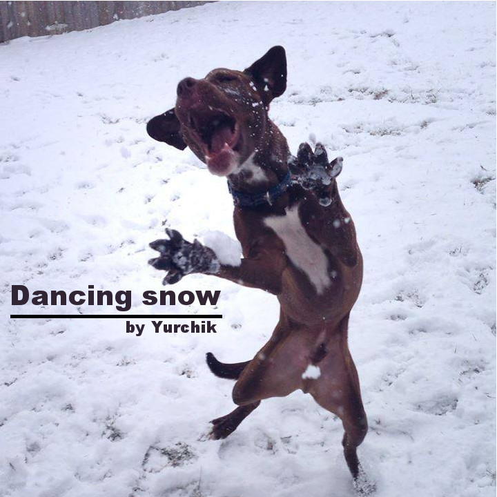 Yurchik - Dancing snow episode artwork