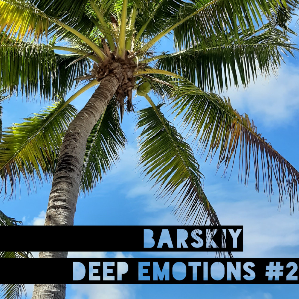 Barskiy DJ - The Color of Music -