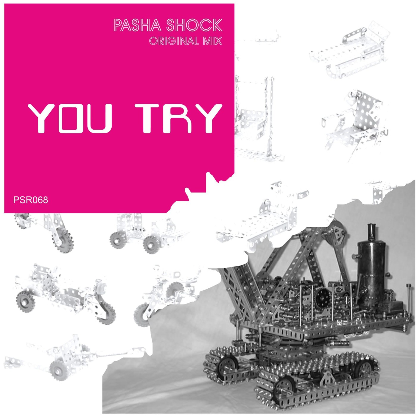 Pasha Shock - You Try episode artwork