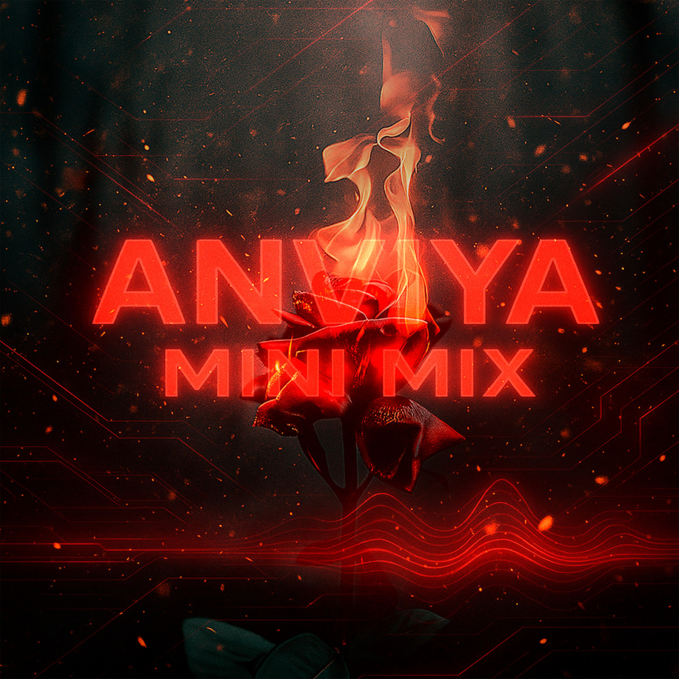 ANVIYA - Mini Mix (DJ Mix)