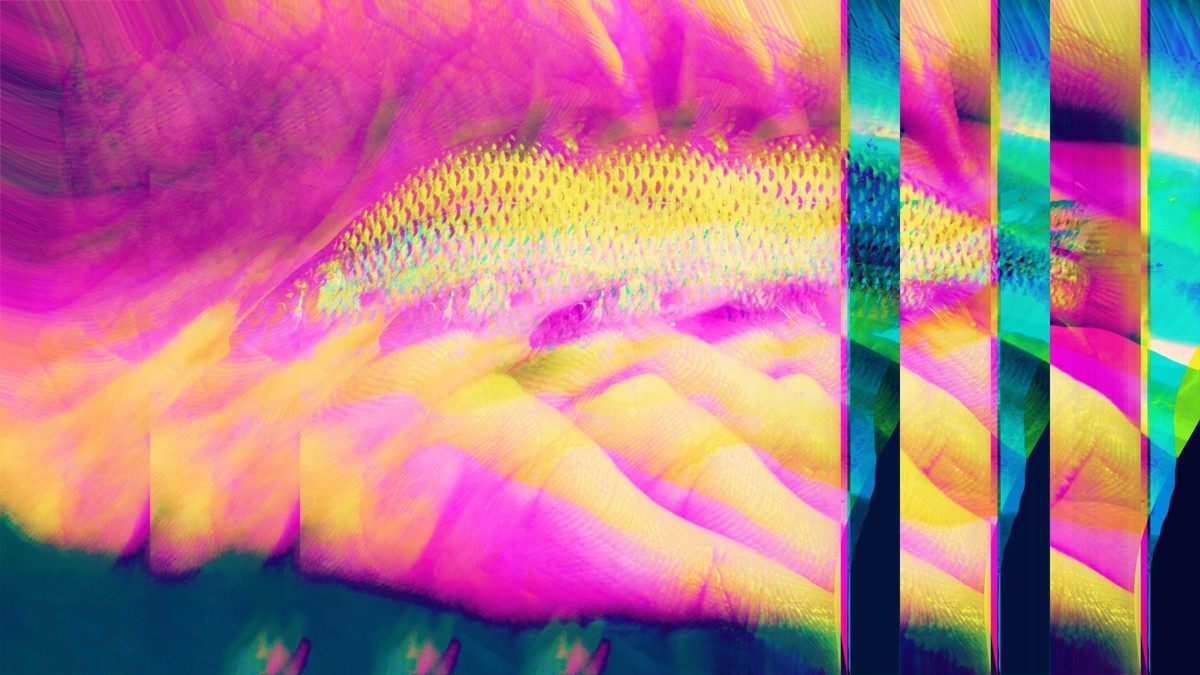 MIXED•NEWS