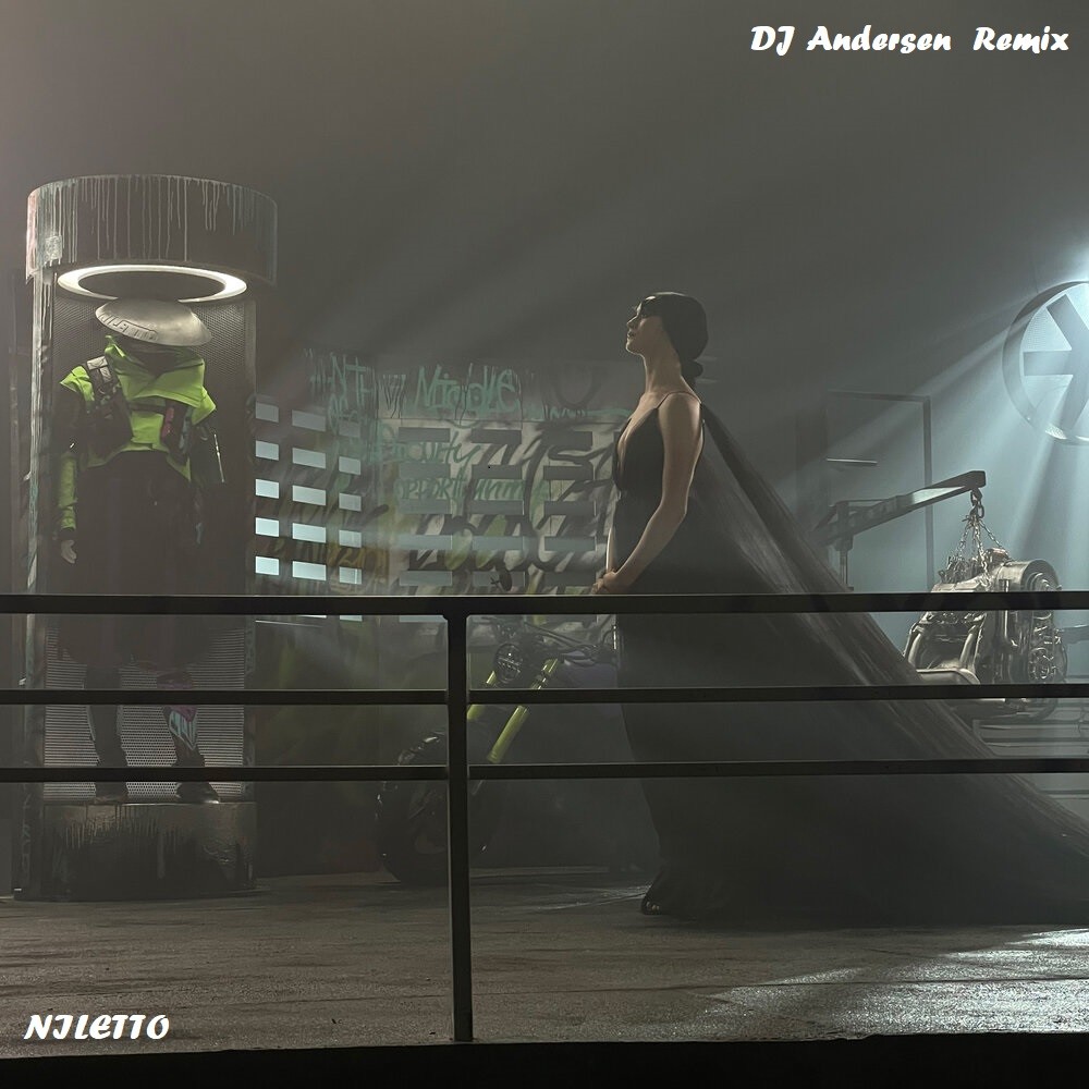 NILETTO - Some Like You (DJ Andersen Remix) episode artwork