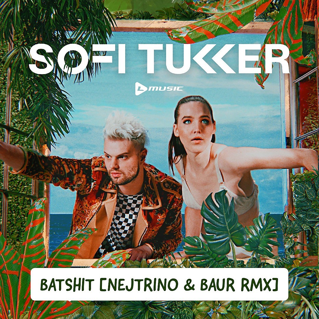 Sofi tukker best. Sofi Tukker Batshit. Batshit Crazy клип. Soffi Tukker Batshit Remix. Sofi Tukker/Denis first.