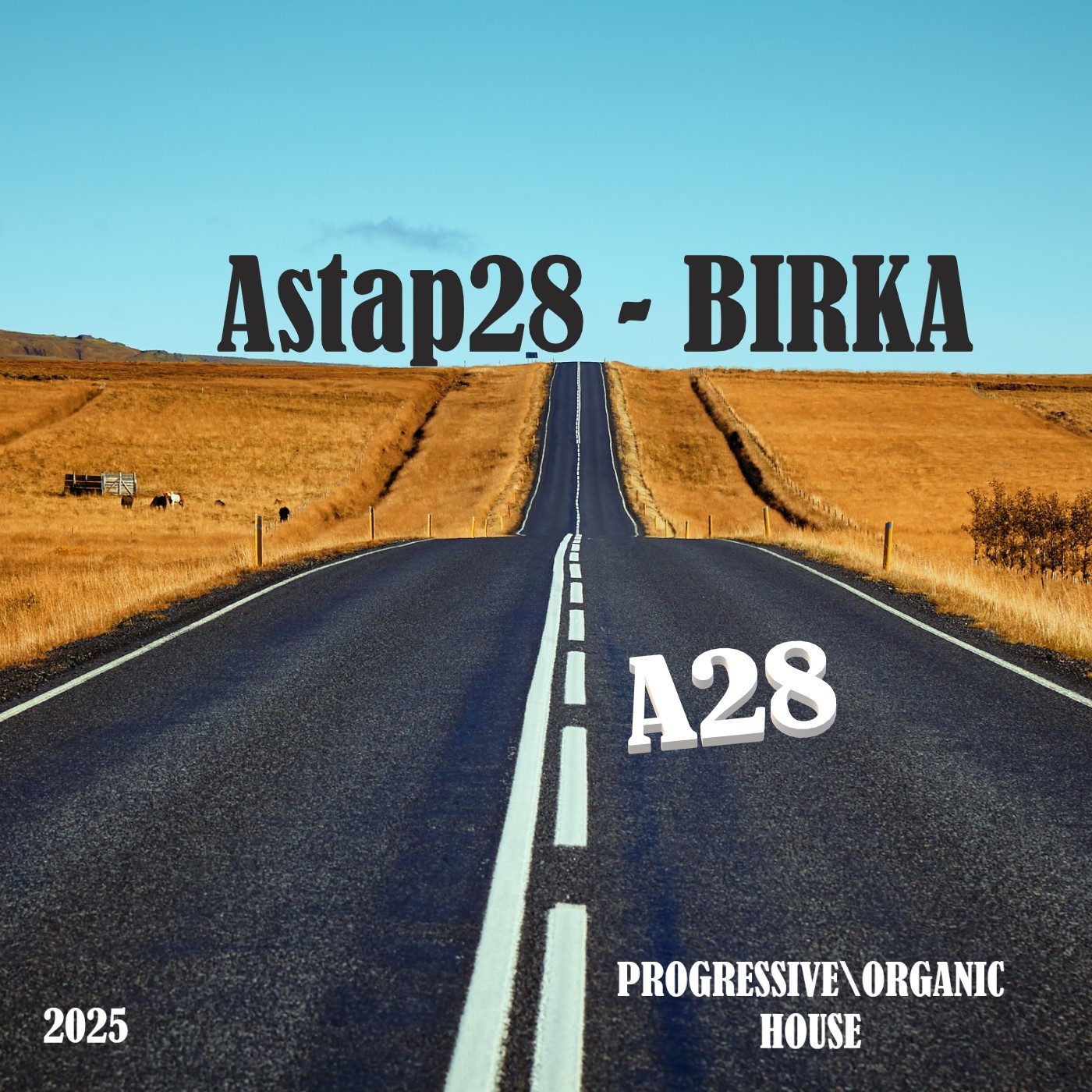 Astap28 - BIRKA