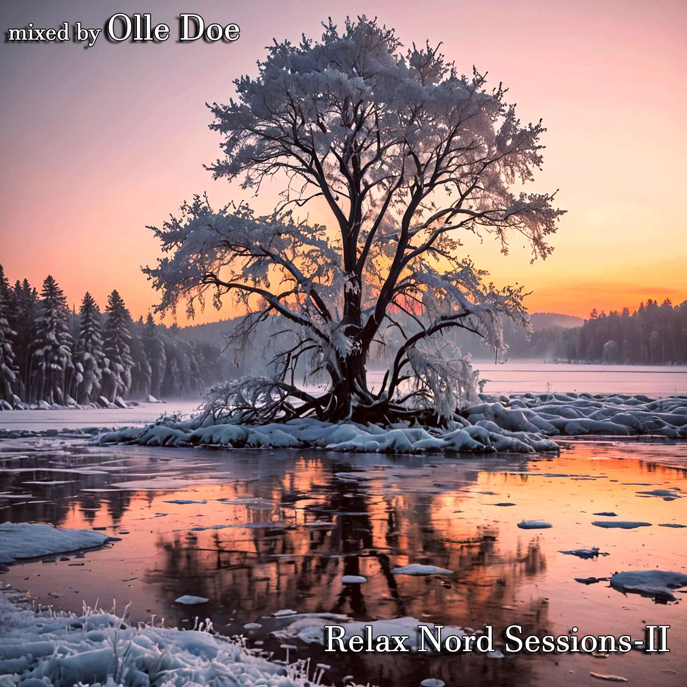 Olle Doe - Relax Nord Sessions-II 01